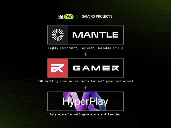 Overview of the seven major L2 networks: What are their respective advantages and potentials?