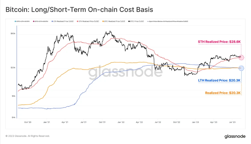 Foresight Ventures Weekly Market Report: The Calm Before the Storm