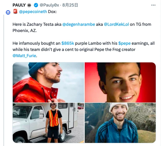 The Rise and Fall of PEPE: Unequal Distribution or Premeditated Exit?
