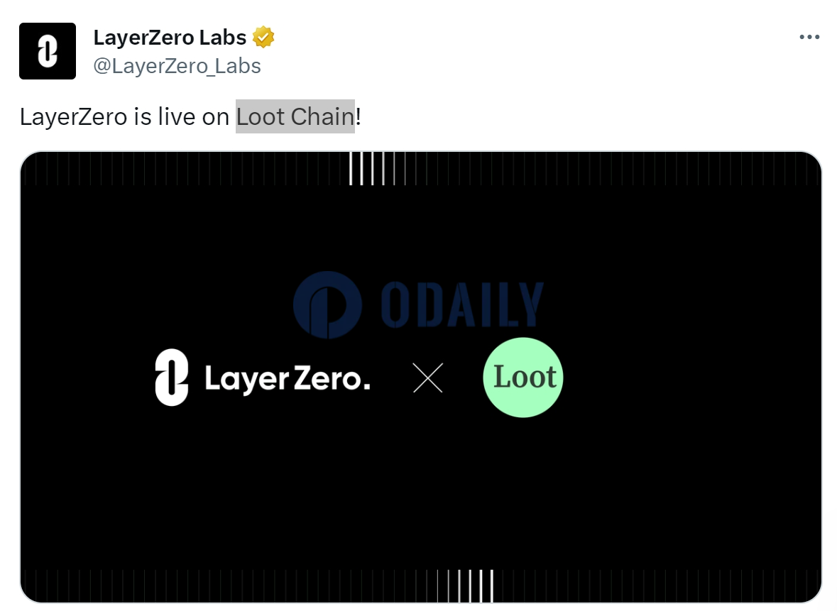 Odaily