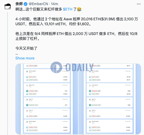 某巨鲸4小时前通过杠杆链上做多ETH