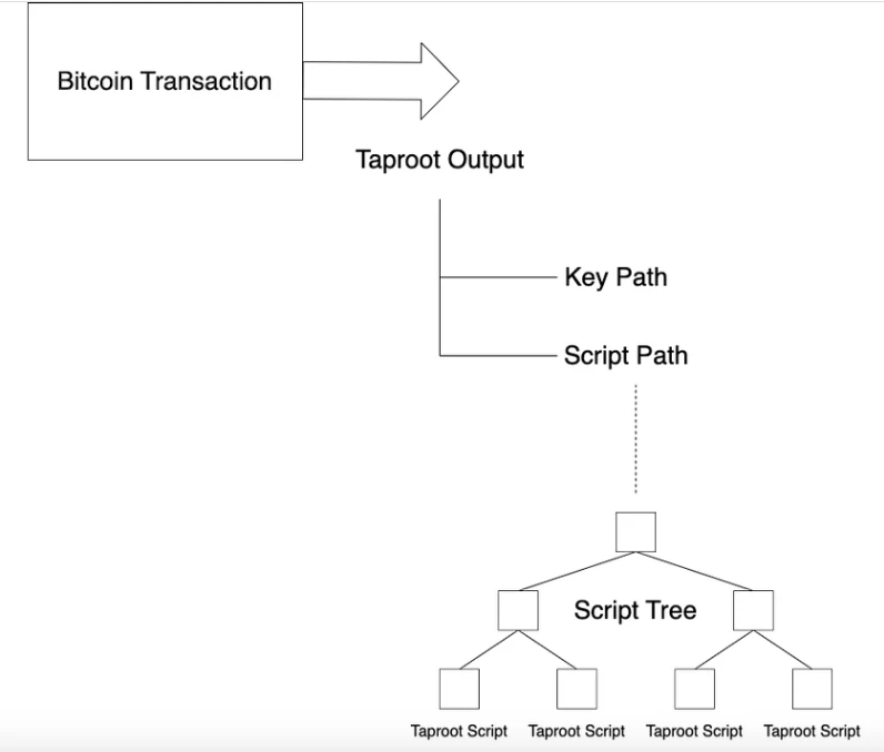 PSE Trading: A new paradigm for asset issuance, the next wave of Bitcoin metadata protocols has arrived