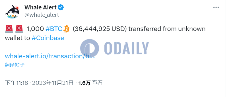 Odaily