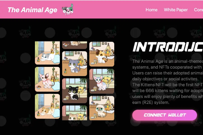 The Animal Age攻略：在zkSync云养猫的正确姿势