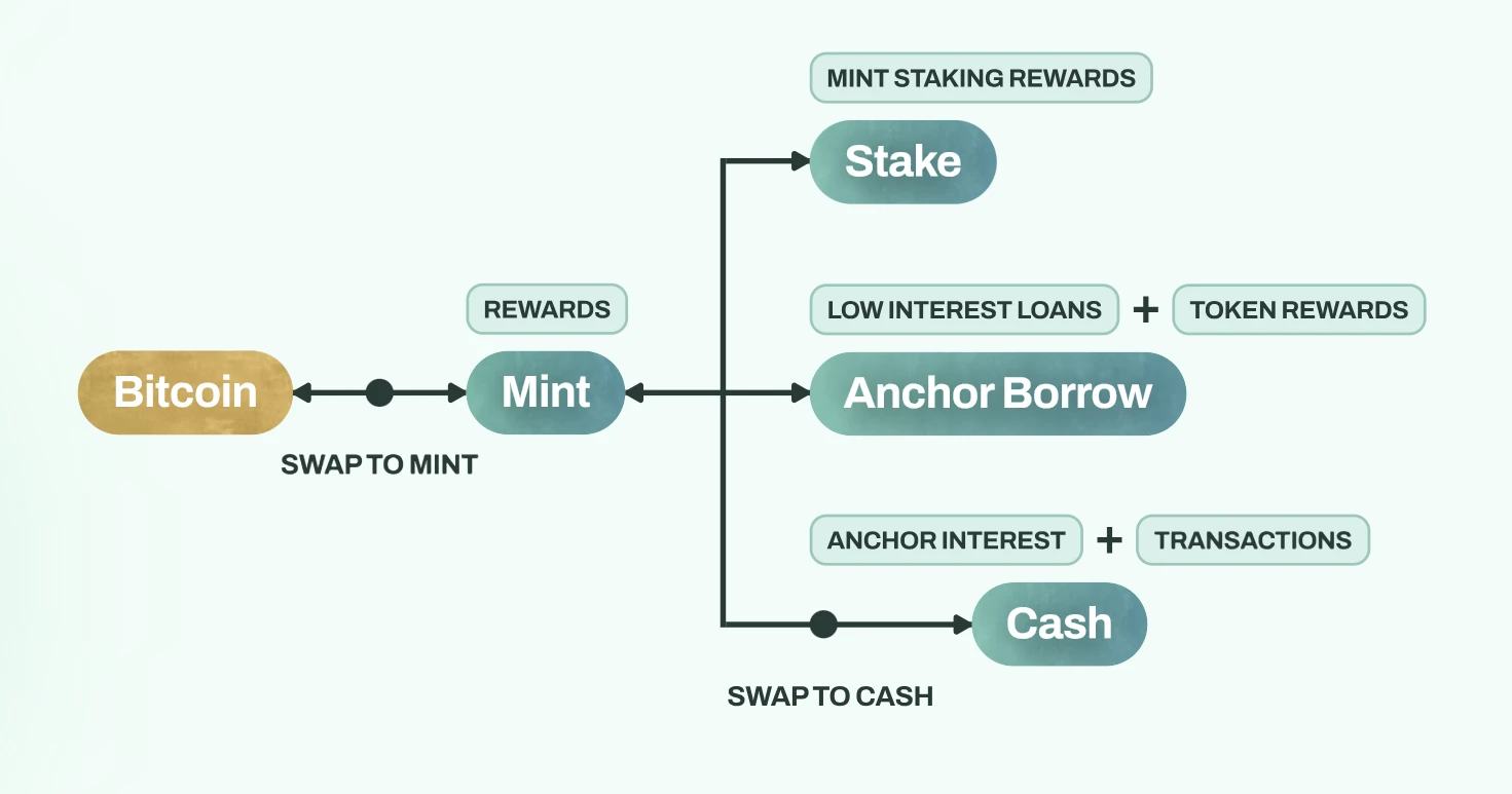 Inheriting the legacy of Terra, can Mint Cash surpass the glory of UST?