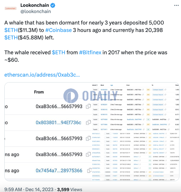 Odaily