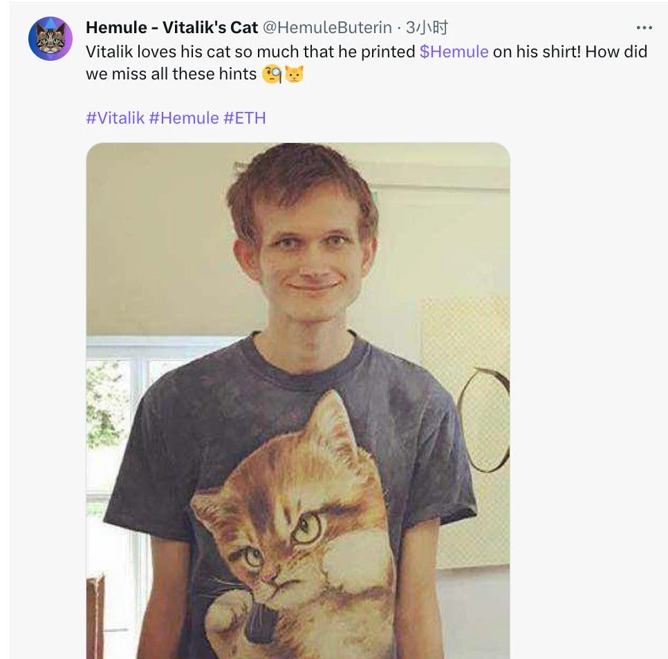 Cách chơi mới Meme: thú cưng của những người sáng lập dự án Web3