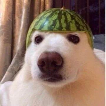 Silly Dragon is doubling 13 times a week. Are there any other Meme projects in the Solana ecosystem worth paying attention to?