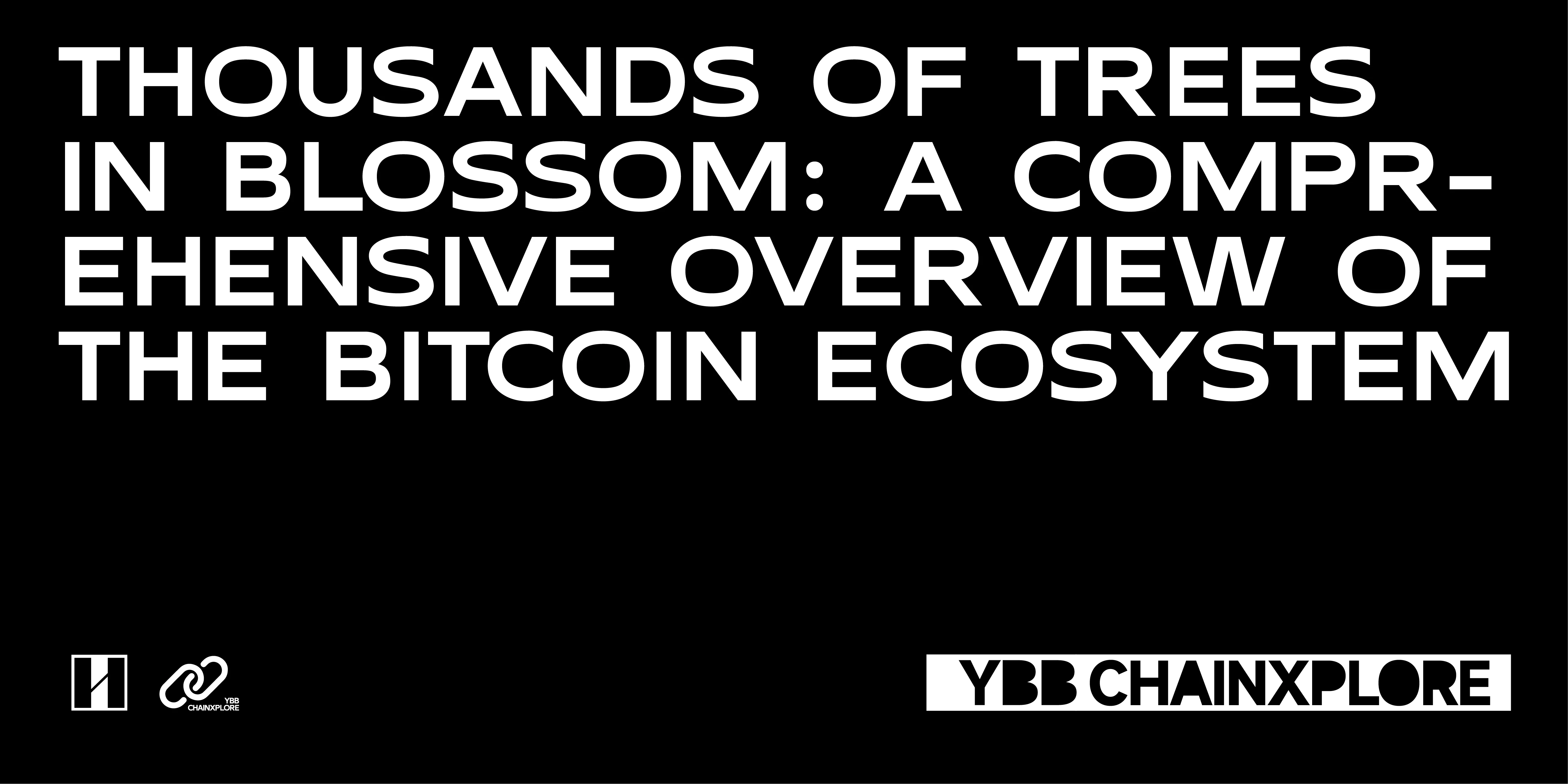 YBB Capital: Thousands of pear trees are blooming, an overview of the Bitcoin ecosystem