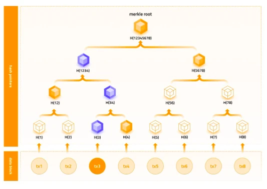 B² Network技术实现：基于零知识证明验证承诺的比特币ZK-Rollup