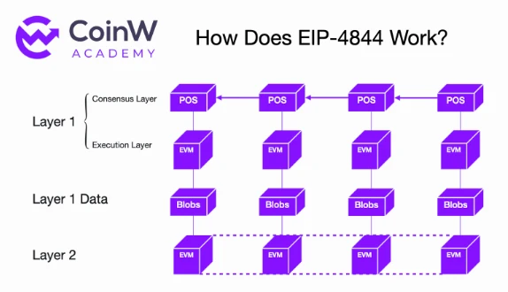 CoinW Academy：2023-2024加密货币行业年度研究报告