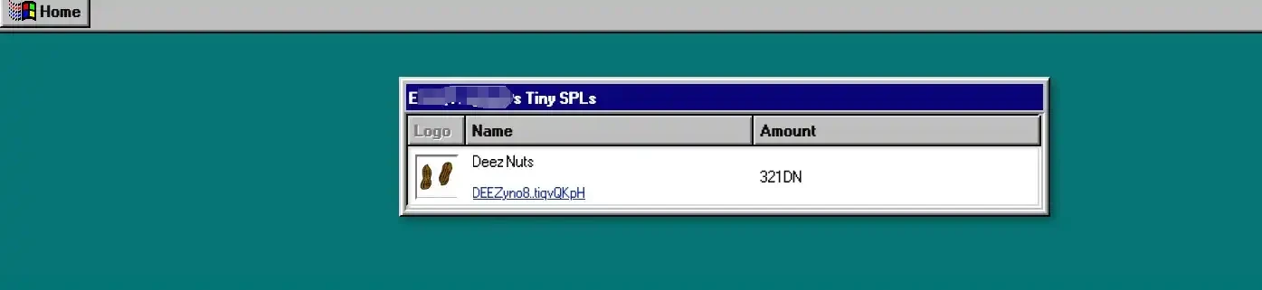 What is the new token standard Tiny SPL that Solana's founder pinned on Twitter?