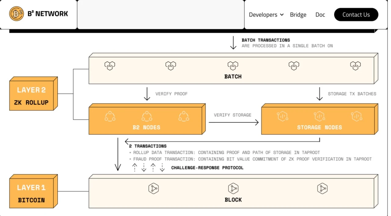 Taking stock of 20 early Bitcoin Layer 2 projects worthy of attention