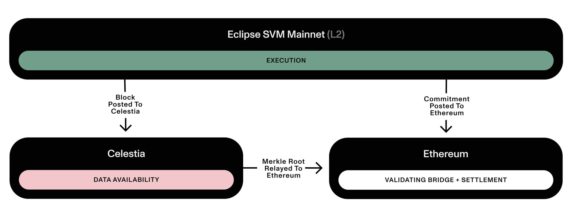 MT Capital研發：全面解讀並行EVM，專案一覽與未來展望