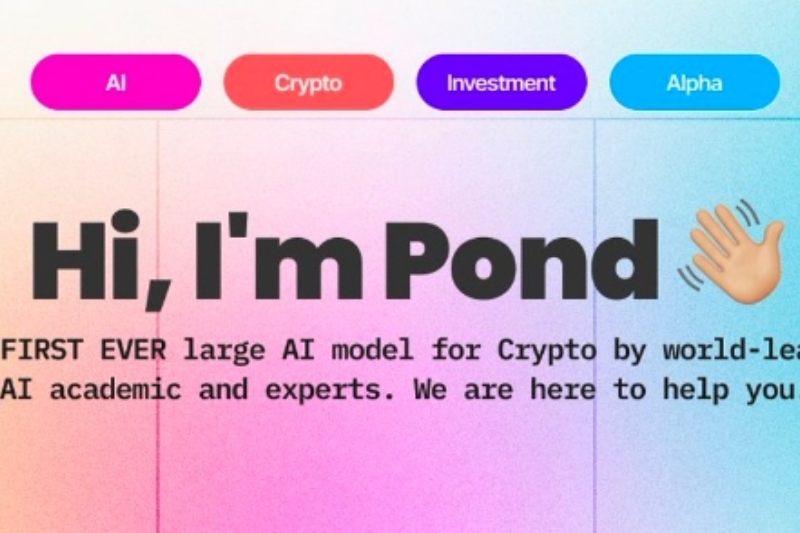 Everything about Crypto AI from Infra, AI data to Foundation Model