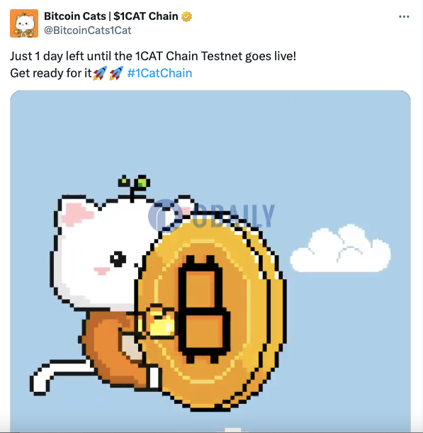 比特币链游 Bitcoin Cats ： 1CAT Chain 测试网将于明日上线 - Odaily