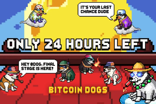 募资超1200万美元，Bitcoin Dogs距预售结束仅剩约24小时