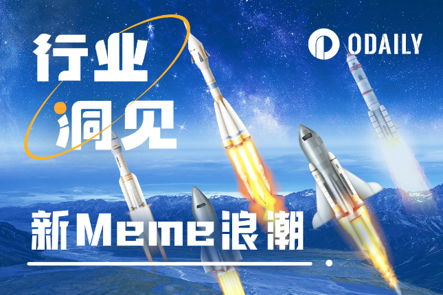 Fundraising Meme Projects are Booming, How to Find the Next Alpha?