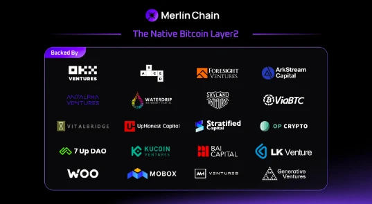 Merlin Chain是如何团结各路人马的？内含增长密码