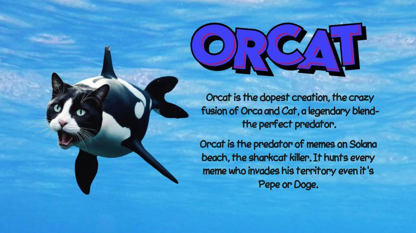 Cat Meme Narratives Are Hot, Here Are 5 Projects Worth Paying Attention to