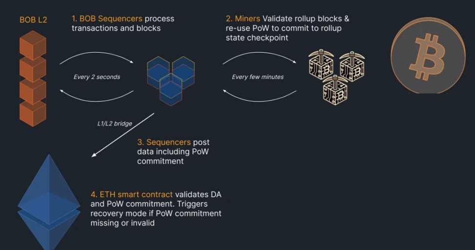 A review of the five most popular BTC-related public chains that VCs have entered