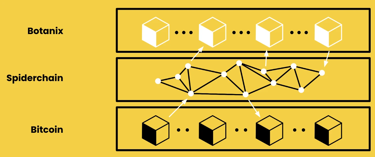 Interpreting Botanix: BTC L2 for decentralized network asset management (with interactive tutorial)