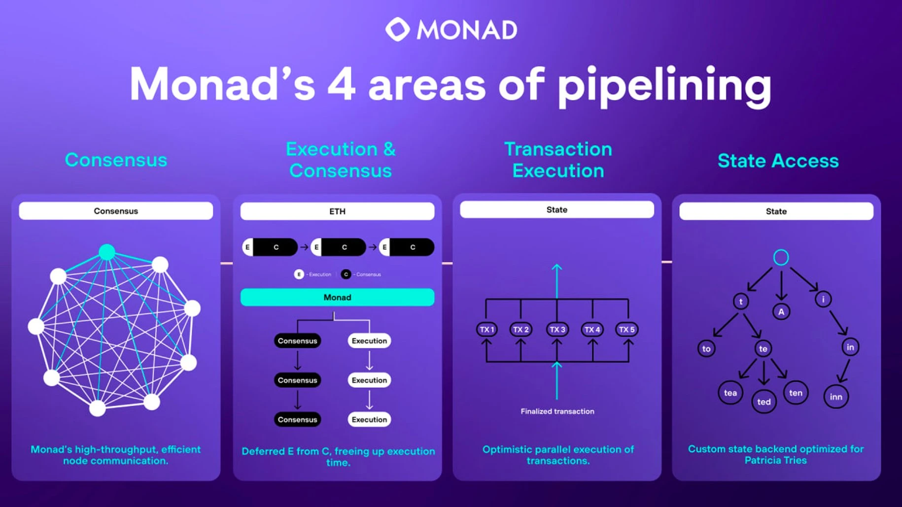 手把手带你埋伏空投“大毛”：Monad与Polymer Labs