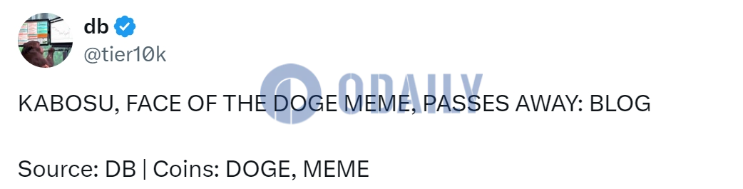 Odaily