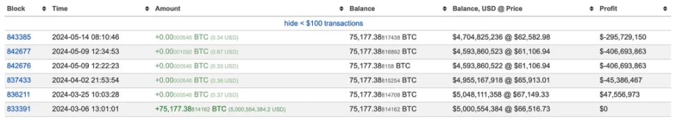 サトシ・ナカモト、機関とクジラ: 最も多くのビットコインを保有しているのは誰ですか?