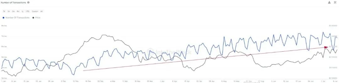 社区生态 | IntoTheBlock：波场网络日均交易笔数达675万，呈持续上升趋势