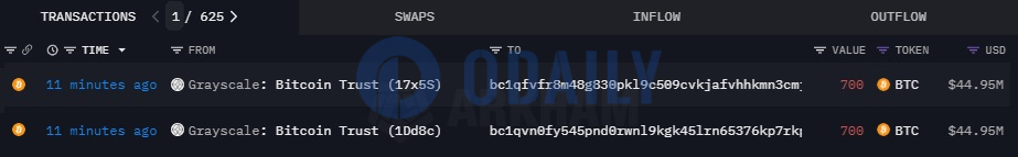 Odaily