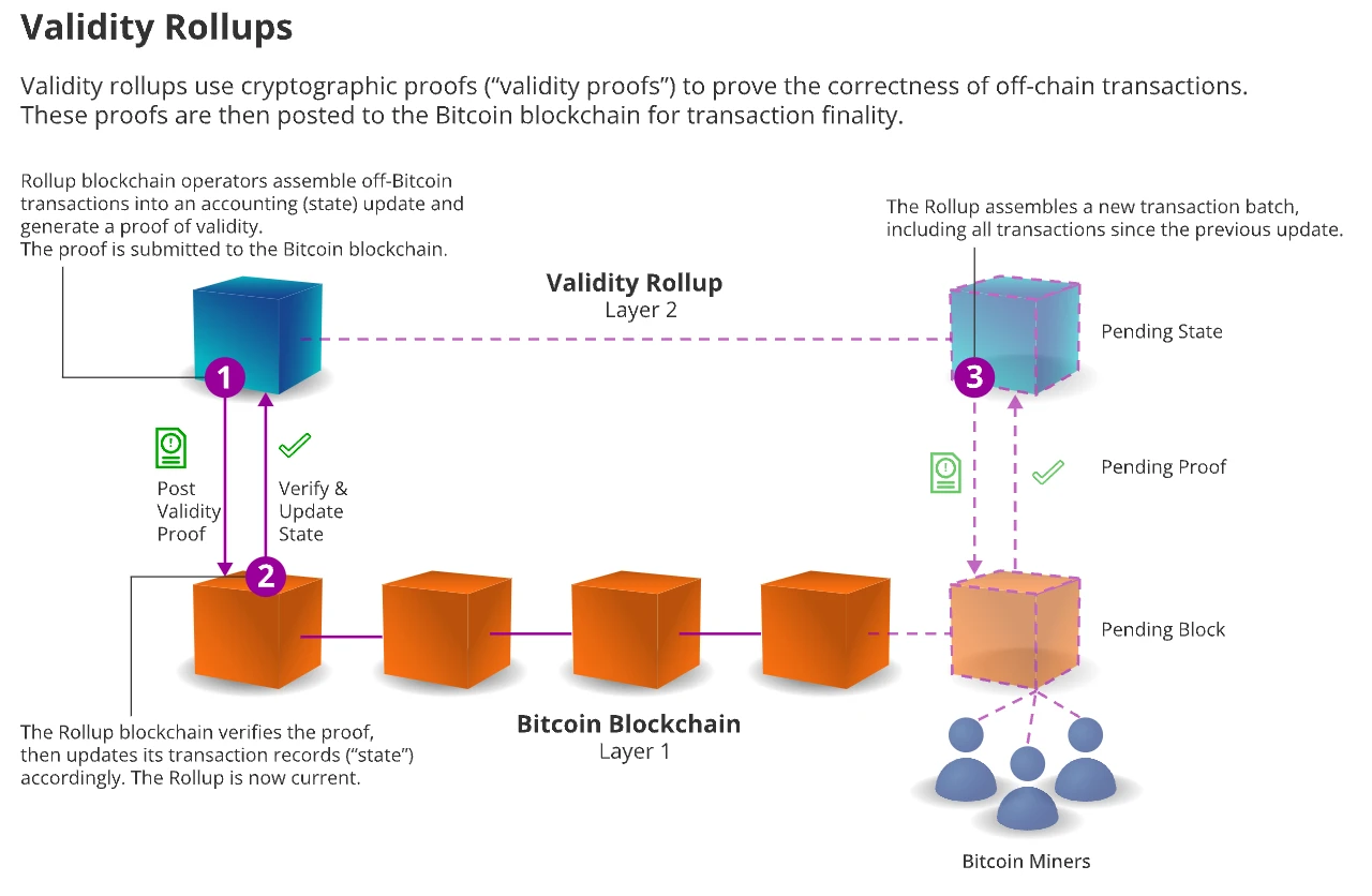 Bài viết dài 10.000 từ: Tổng quan các kịch bản định giá Bitcoin năm 2050