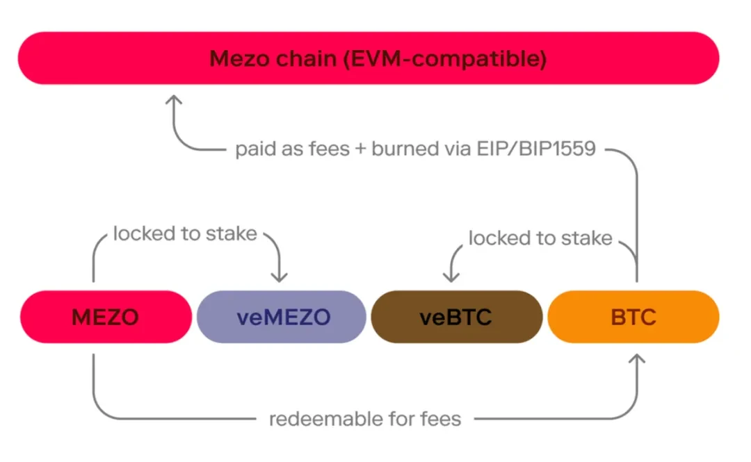 The bull market is already halfway through, does the Bitcoin ecosystem still have a chance?