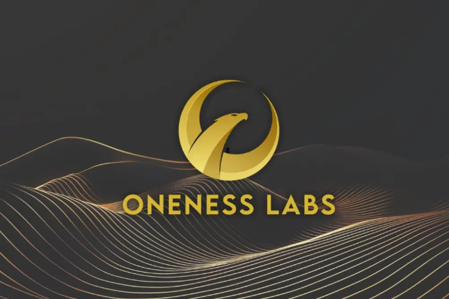 解读Oneness Labs：千亿美元的...