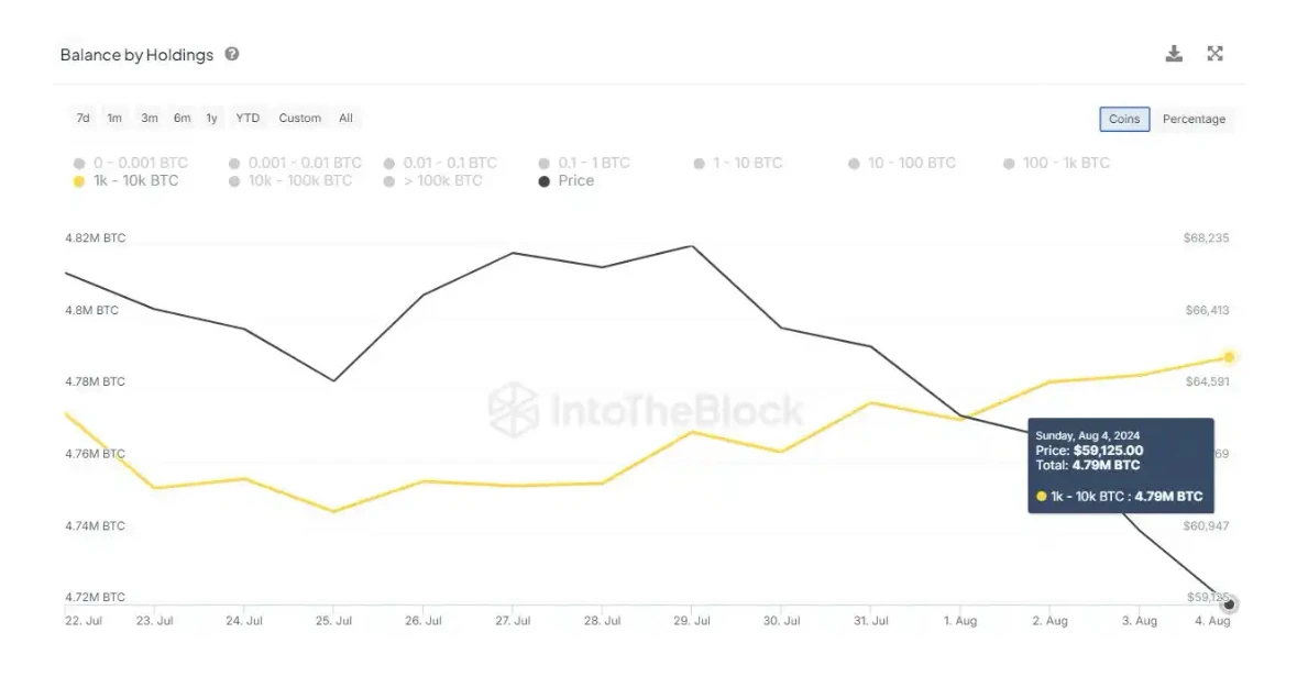 The market plummeted at the beginning of August. Did the yen arbitrage cause the collapse of global assets? What will happen next?