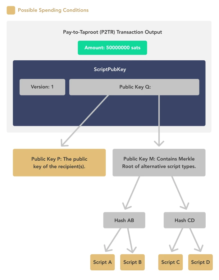 Tài sản Taproot: Điểm tăng trưởng tiếp theo để theo dõi stablecoin vượt quá một nghìn tỷ vốn hóa thị trường