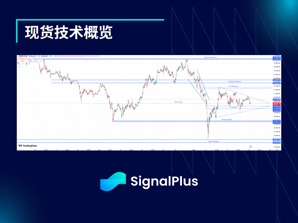 BTC波动率：一周回顾2024年8月12日–8月19日