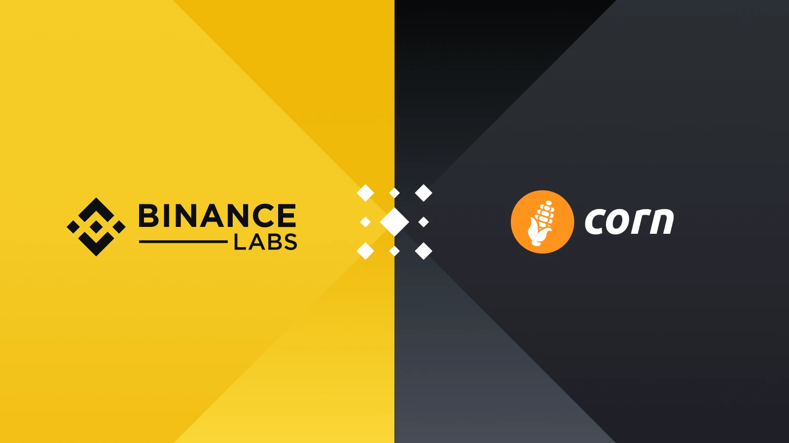 8월 Binance Labs의 5개 주요 투자 프로젝트에 대해 단계별로 알아보십시오.