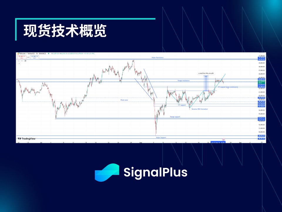 BTC波动率：一周回顾2024年8月19日–8月26日