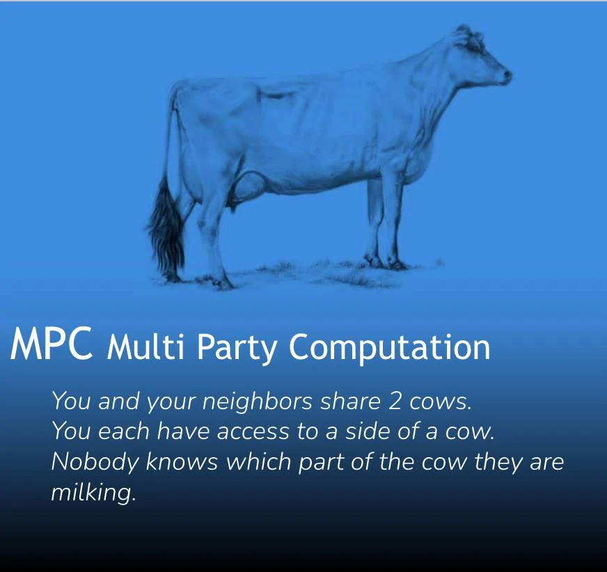 When Cows Meet Cryptography: 4 Metaphors to Illustrate ZK, FHE, MPC, and TEE