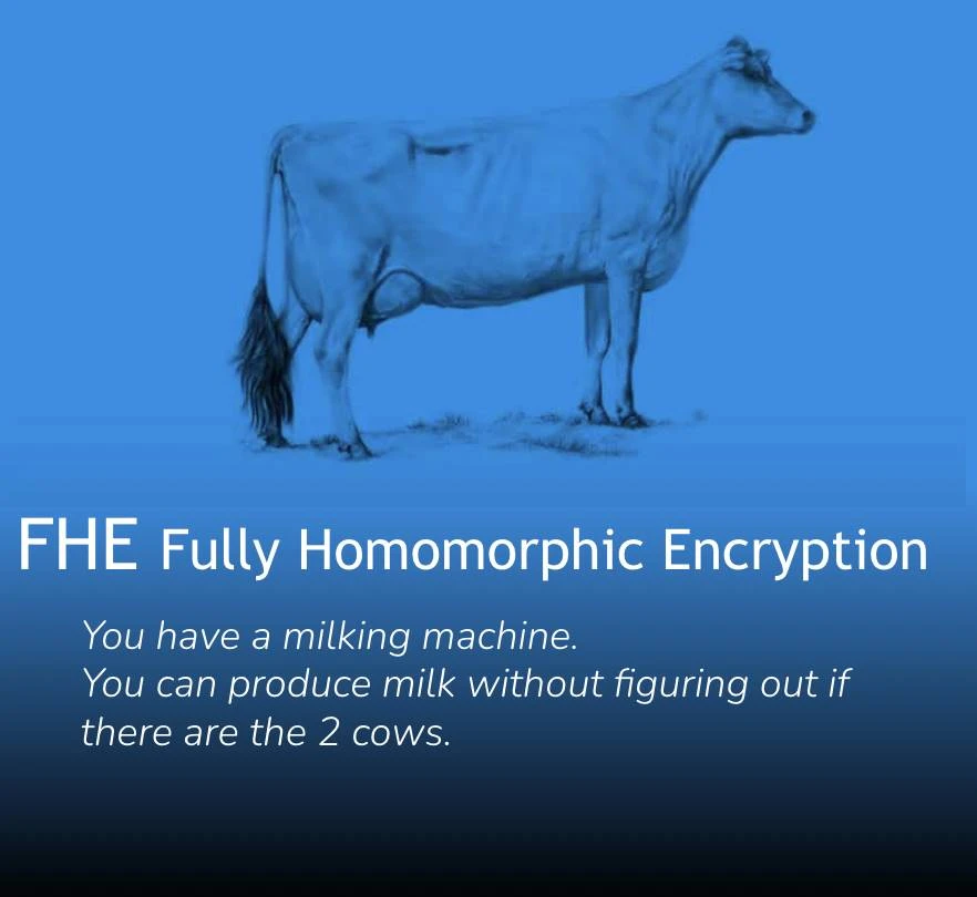 When Cows Meet Cryptography: 4 Metaphors to Illustrate ZK, FHE, MPC, and TEE