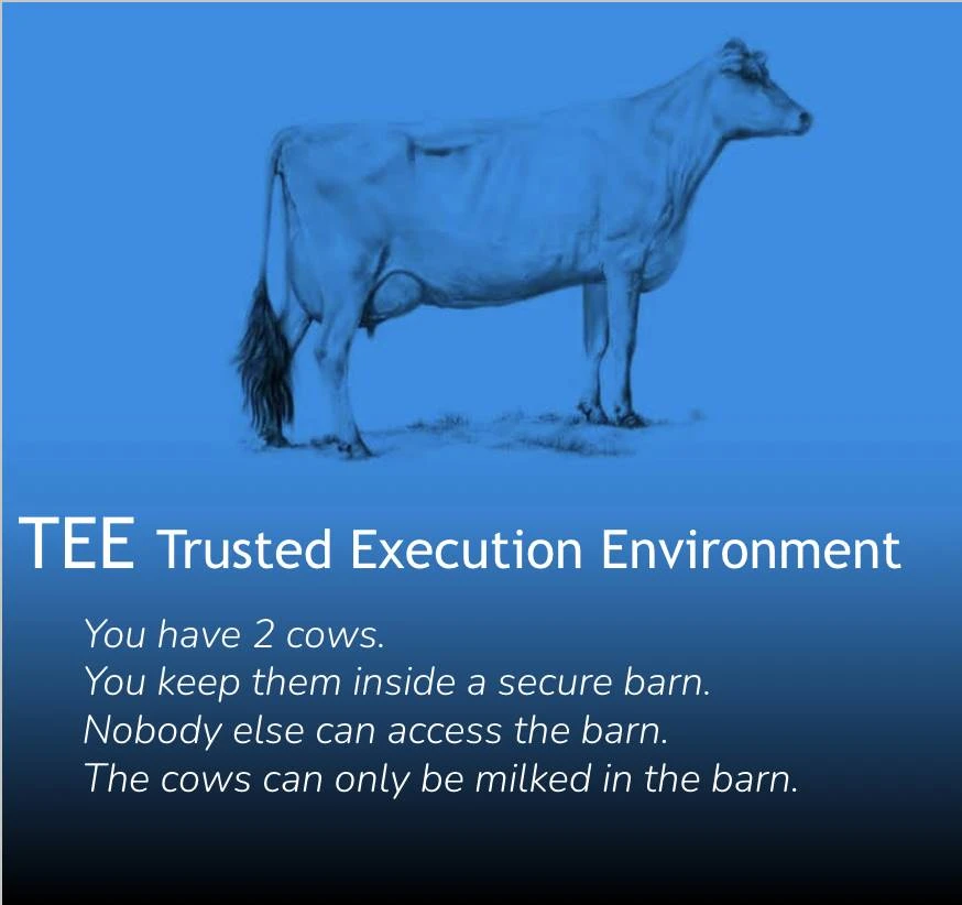 When Cows Meet Cryptography: 4 Metaphors to Illustrate ZK, FHE, MPC, and TEE