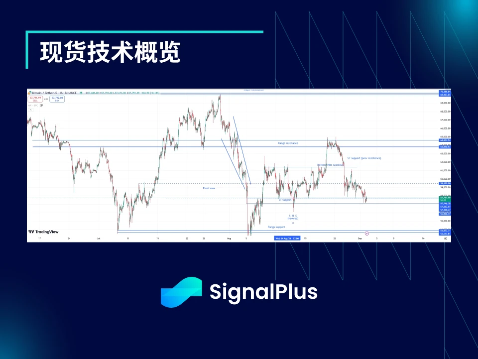 BTC 변동성: 1주 검토 2024년 8월 26일~9월 2일