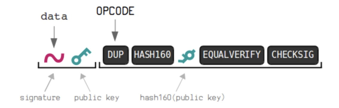 HTX Ventures: Exploring the Rabbit Hole of BTCFI from a Bitcoin Programmability Perspective