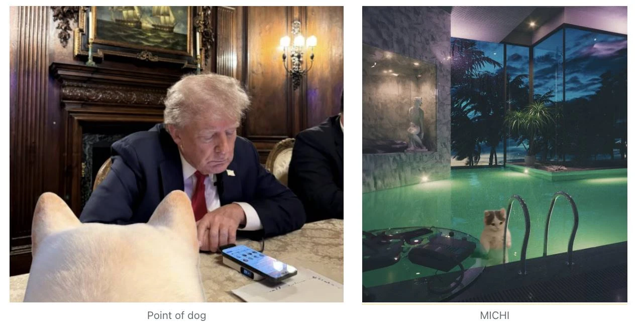 New kittens, magical dogs, what’s hot in the meme market today?