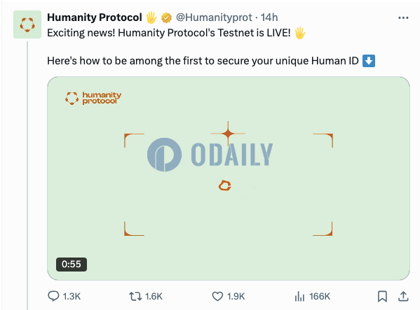 Odaily