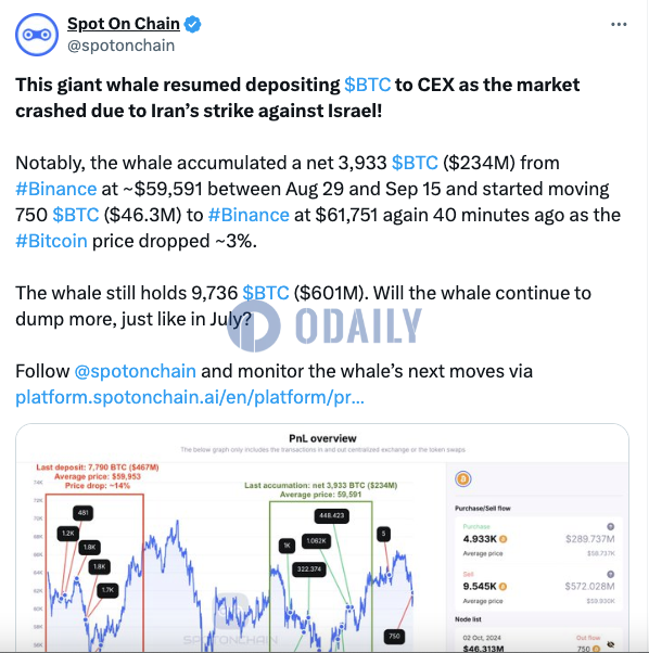 Odaily