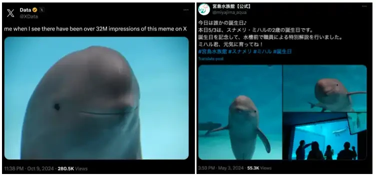 Japanese dolphins, Korean dolls, the meme market is hot on Asian elements