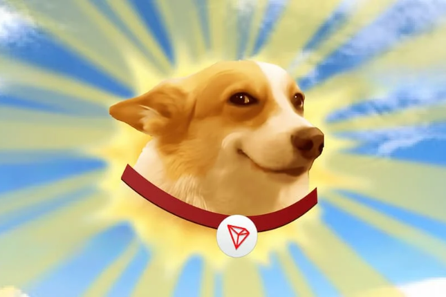 SunDog：波场TRON生态中的新晋明星，下一站顶级交易所？