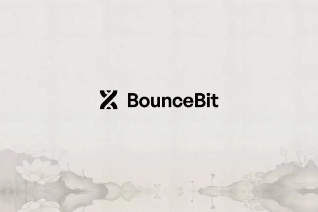 专访BounceBit：V2前瞻，化繁为简